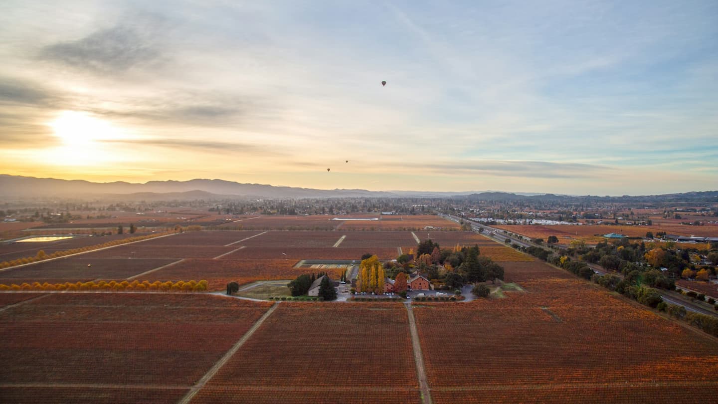 photo by Unsplash .jpg